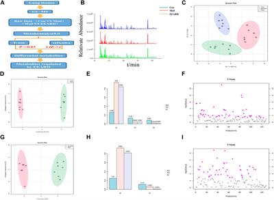 Therapeutic effects and mechanism of Atractylodis rhizoma in acute lung injury: Investigation based on an Integrated approach
